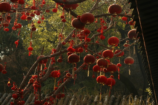 祝福