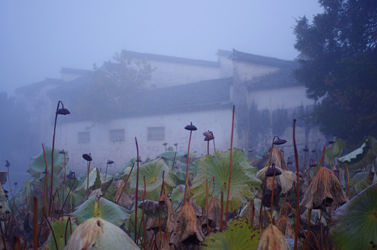 宏村