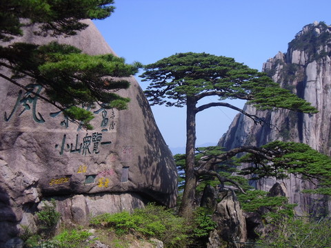 黃山風(fēng)光高清