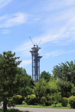 森林公園