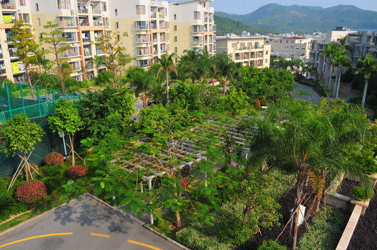 住宅小區(qū) 小區(qū)綠化