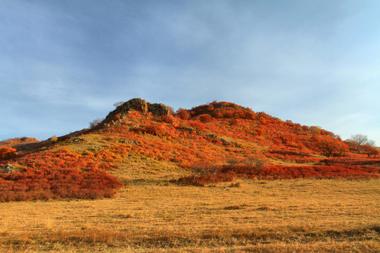 烏蘭布統(tǒng) 秋山紅葉