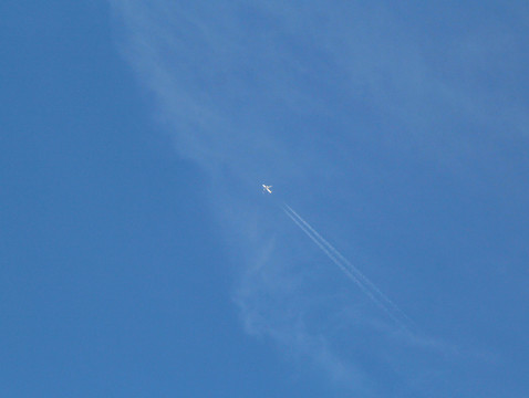 空中飛鷹