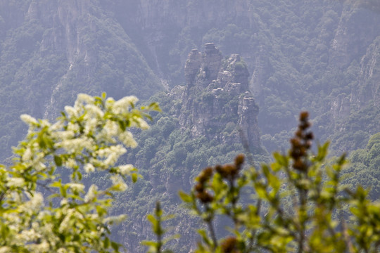 白石山風(fēng)光