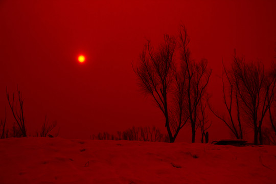 夕陽紅