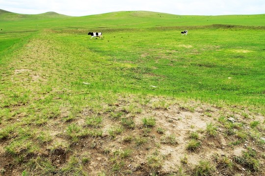 金界壕遺址戍堡 建筑臺基
