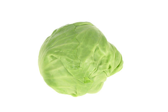 卷心菜