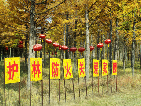 護(hù)林防火標(biāo)語
