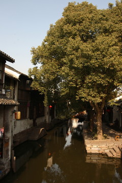 周莊