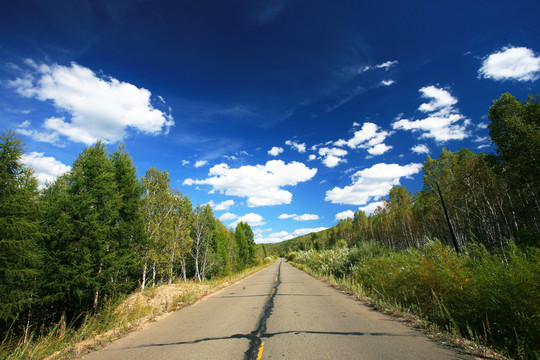 森林公路
