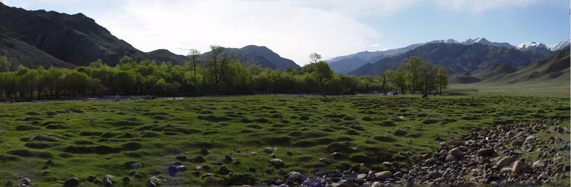 高山牧場(chǎng)