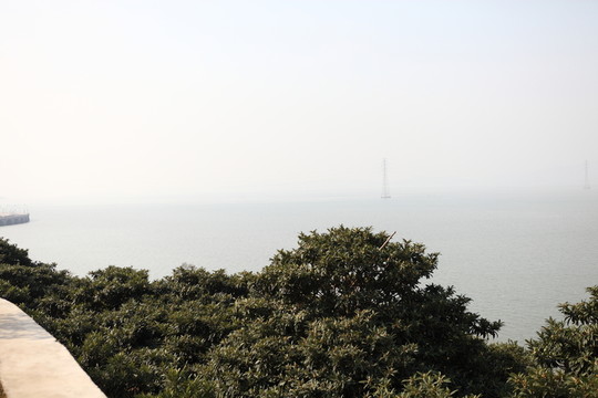 太湖湖畔