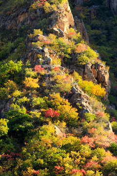 山谷秋色