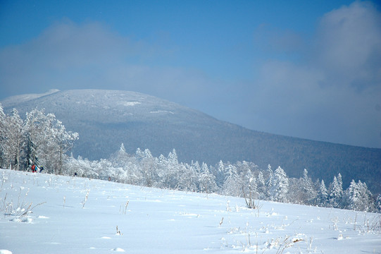 林海雪原風(fēng)光背景