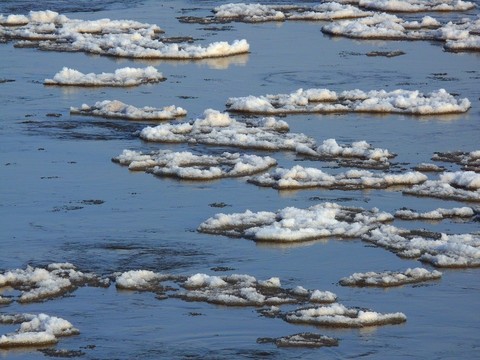 黃河 漂浮 冰雪