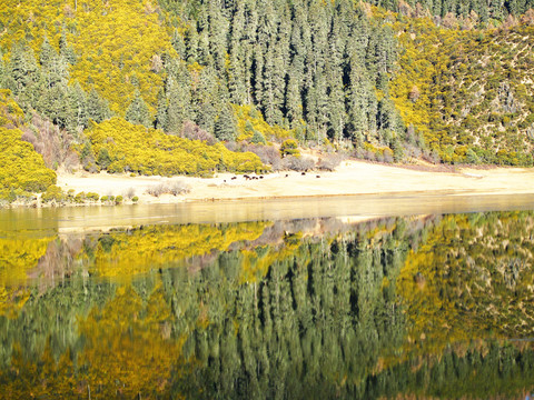 香格里拉 屬都湖