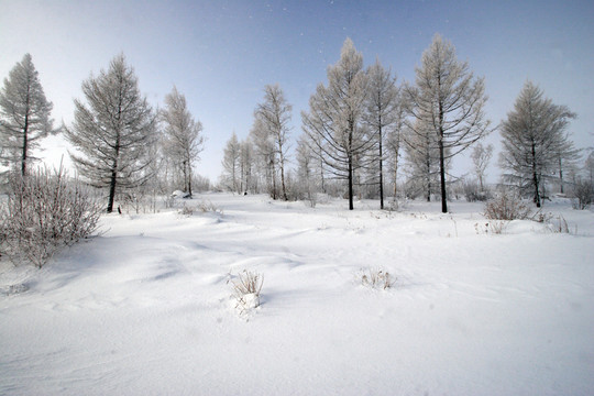 東北雪鄉(xiāng)