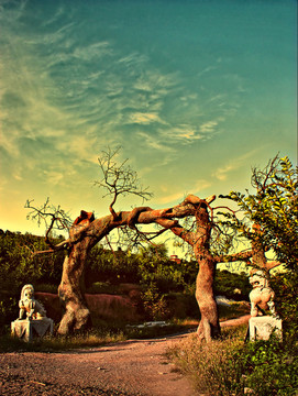 公園