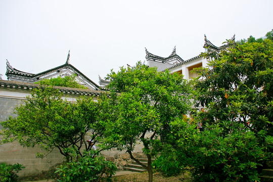 黃陵廟