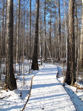 雪路