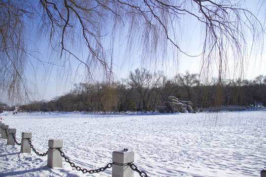 雪貌