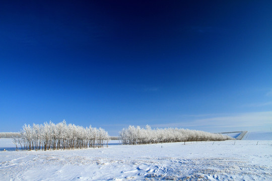 原野雪樹