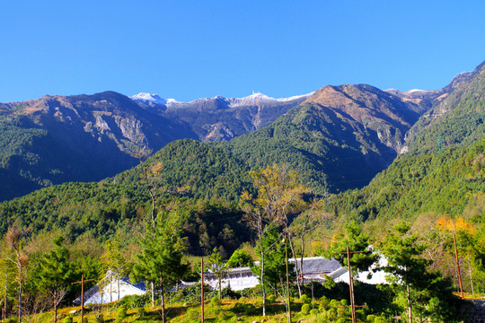 大理 蒼山應(yīng)樂蜂