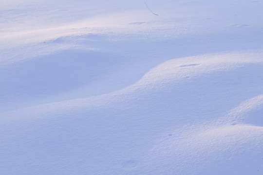 雪原