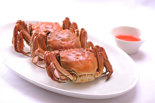 陽澄湖大閘蟹