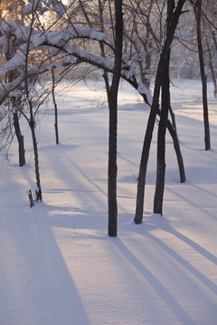 冬雪