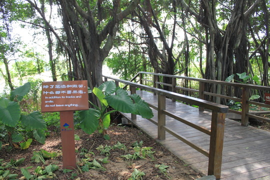 木棧道入口