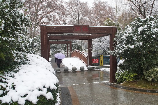園林 雪景