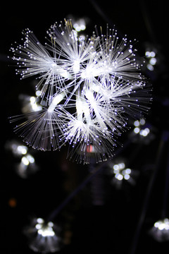 燈花