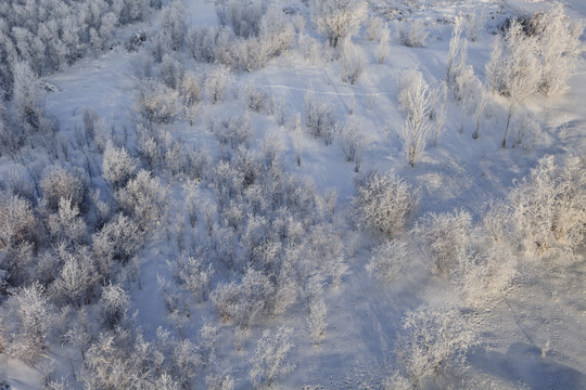 雪原