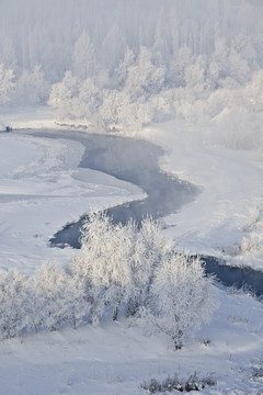 冬雪