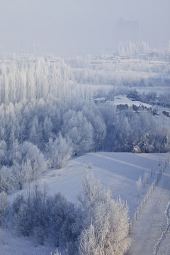 冬雪