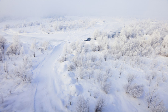 雪原