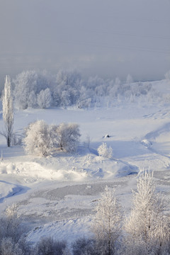 冬雪