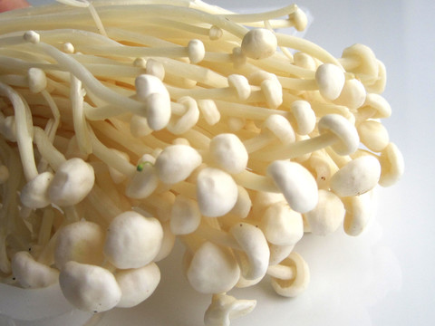 金針菇