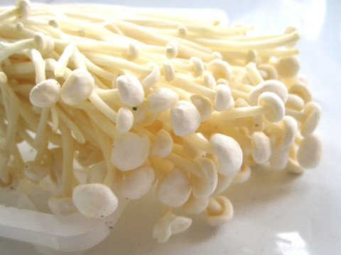 金針菇