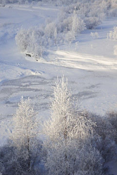 冬雪