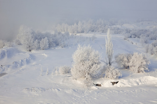 雪景