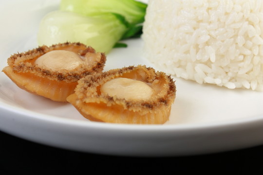 鮑魚撈飯 鮑魚