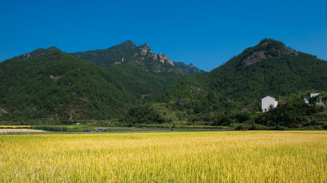 秋景