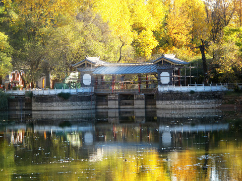 公園小景