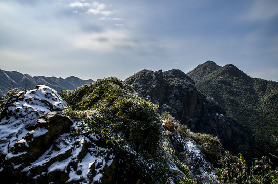 高山 雪花