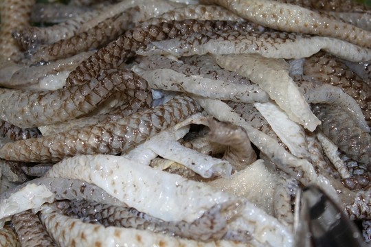 火鍋配菜 魚(yú)皮