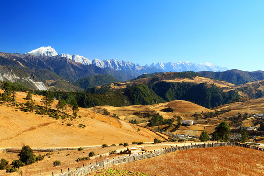 哈巴雪山
