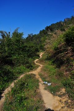田野 小路