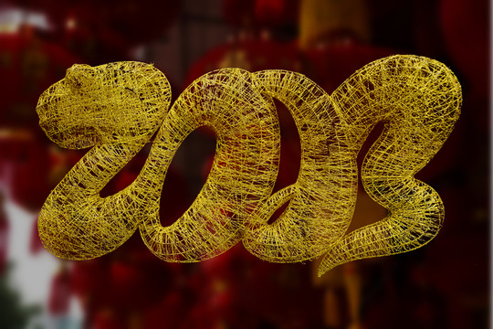 2003蛇年
